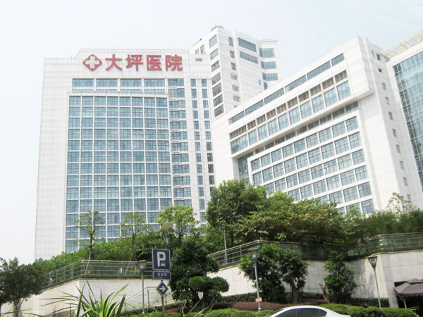 (吊頂)大坪三院.jpg